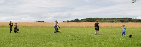 887749322ec34c69515d56fae93ff9b1.1600x1200