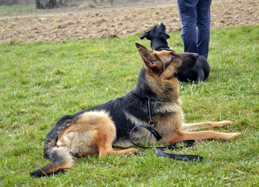 DSC_1567