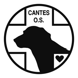 logo_cantes_jpg_small.jpg
