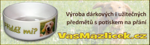 vasmazlicek_baner.png