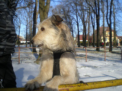 Tak lidi jdeme nebo budeme klábosit?